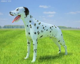 Dalmatian Low Poly 3Dモデル