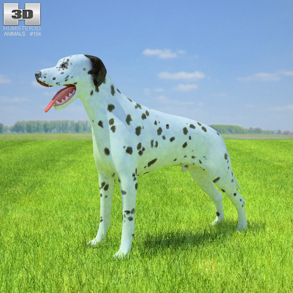 Dalmatian Low Poly 3D model
