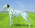 Dalmatian Low Poly 3D 모델 