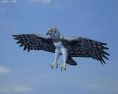 Harpy Eagle Low Poly 3d model