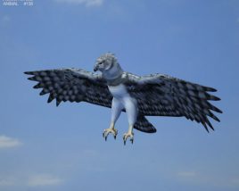 Harpy Eagle Low Poly Modèle 3D