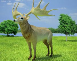 Irish Elk Low Poly 3Dモデル