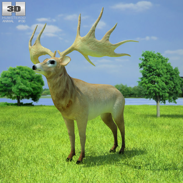 Irish Elk Low Poly Modello 3D