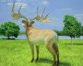 Irish Elk Low Poly Modelo 3D