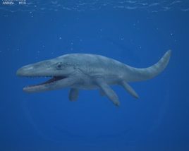 Mosasaurus Low Poly 3D model