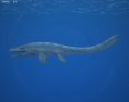 Mosasaurus Low Poly Modello 3D