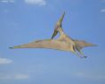 Pteranodon Low Poly 3d model