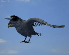 Raven Low Poly 3D model