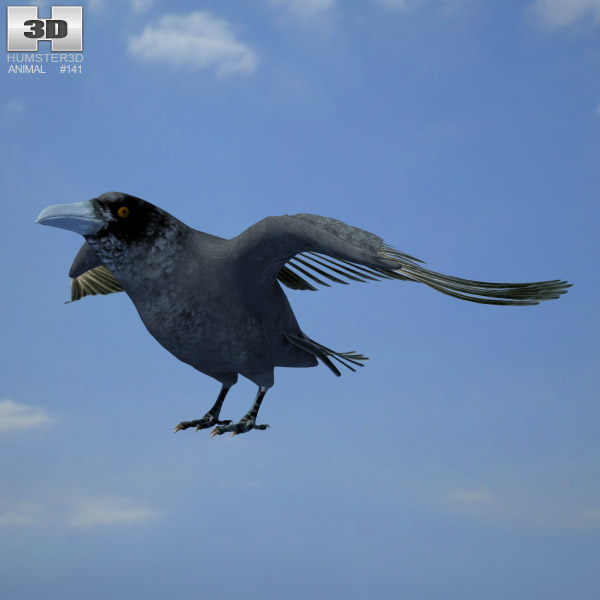 Raven Low Poly 3D model