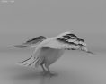 Raven Low Poly 3D-Modell