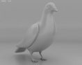 Rock Dove Low Poly 3D 모델 