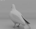 Rock Dove Low Poly Modello 3D