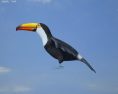 Toucan Low Poly 3D-Modell