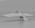 Toucan Low Poly 3D 모델 