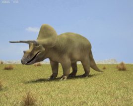 Triceratops Low Poly 3Dモデル