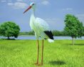 White stork Low Poly Modèle 3d