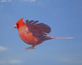 Cardinal Low Poly Modello 3D