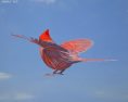 Cardinal Low Poly 3D模型