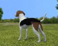 English Foxhound Low Poly 3D модель