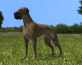 Great Dane Low Poly 3Dモデル