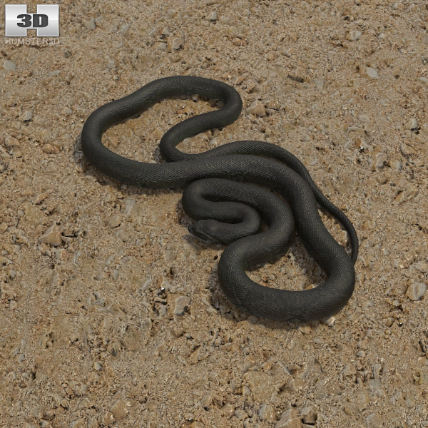 Giant anaconda Low Poly 3D model