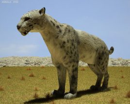 Homotherium Low Poly 3Dモデル