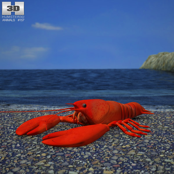 Lobster Low Poly 3Dモデル