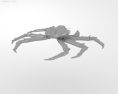 Paralithodes amtschaticus Low Poly 3d model