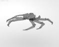 Paralithodes amtschaticus Low Poly Modelo 3D
