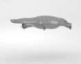 Platypus Low Poly 3D-Modell