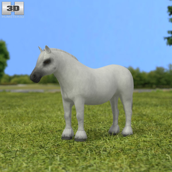 Pony Horse Low Poly 3D 모델 