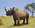 Black rhinoceros Low Poly Modello 3D