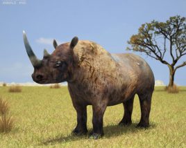 Black rhinoceros Low Poly 3D model
