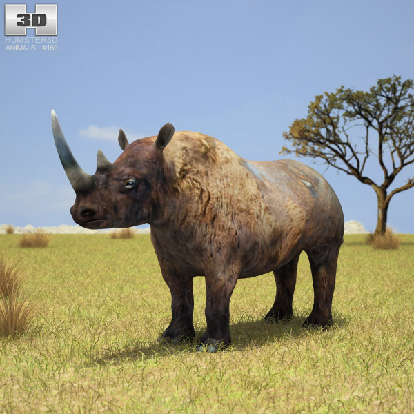 Black rhinoceros Low Poly Modèle 3D