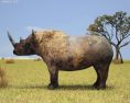 Black rhinoceros Low Poly 3D 모델 