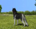 Siberian Husky Low Poly Modelo 3D