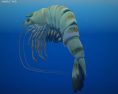 Tiger shrimp Low Poly 3D модель