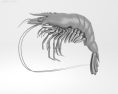 Tiger shrimp Low Poly 3D模型