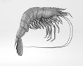 Tiger shrimp Low Poly 3d model