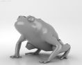 Cane toad Low Poly Modèle 3d
