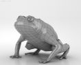 Cane toad Low Poly 3d model