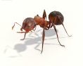 Ant Low Poly 3D 모델 