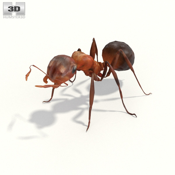 Ant Low Poly 3D model