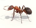 Ant Low Poly 3Dモデル