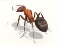 Ant Low Poly 3D 모델 