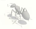 Ant Low Poly Modello 3D