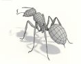 Ant Low Poly Modèle 3d