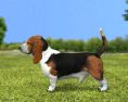 Basset Hound Low Poly 3d model