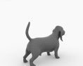 Basset Hound Low Poly 3D-Modell