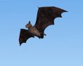 Bat Low Poly 3D модель